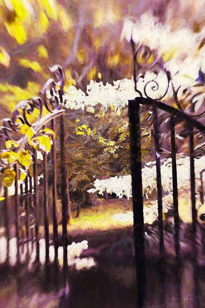 Into the Garden by Helen White